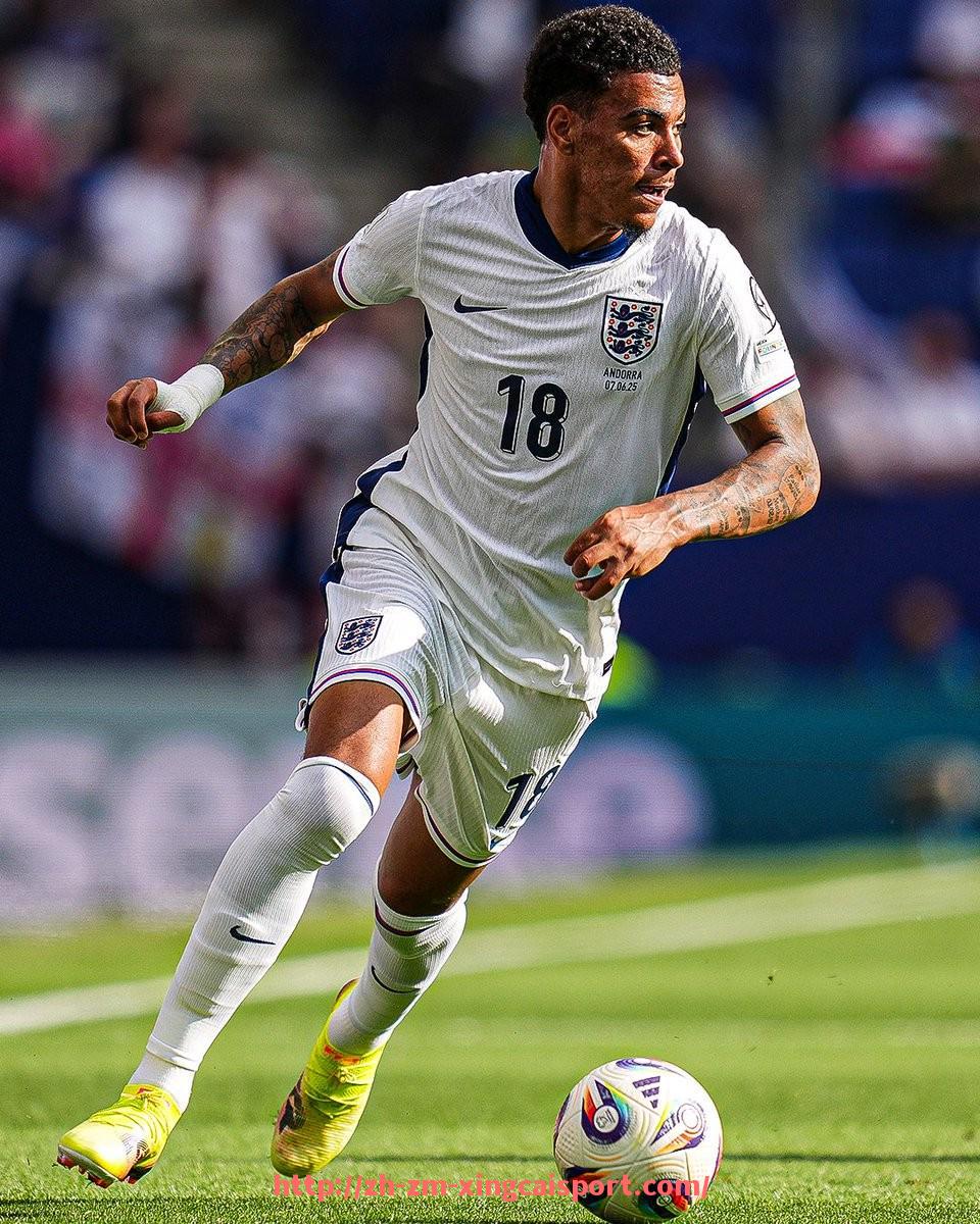 杏彩体育-意甲球队间复杂关系及体育联盟内部竞争分析