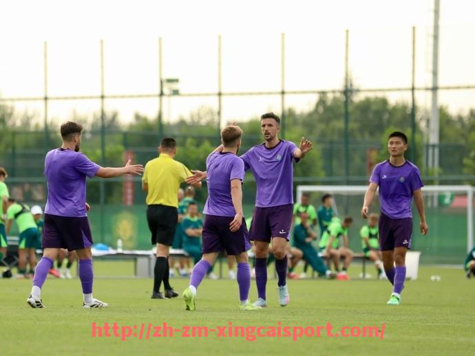 杏彩体育-法甲外援战术融入情况分析及外援与本土球员配合的成功案例