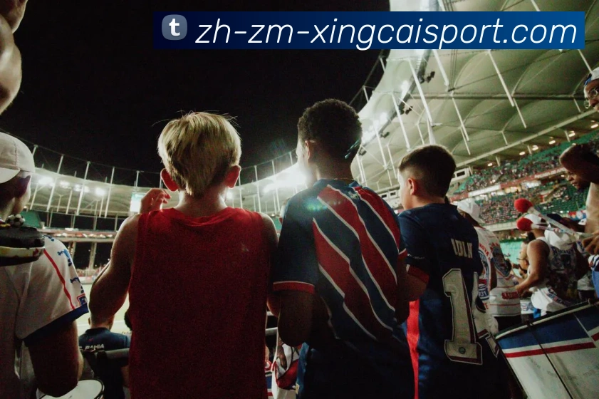 杏彩体育APP 体育赛事宣传图