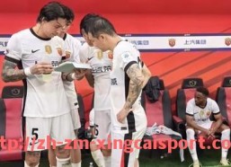杏彩体育-德甲各支球队的绰号与背后文化含义一览